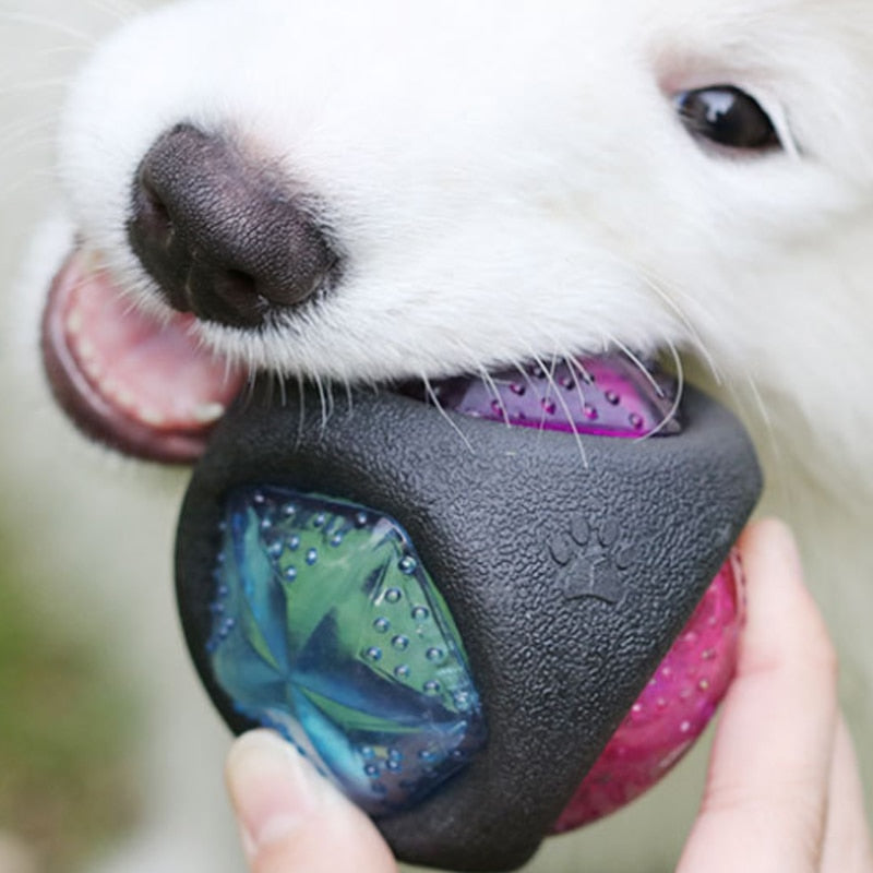 Glow Squeaky Dog Ball