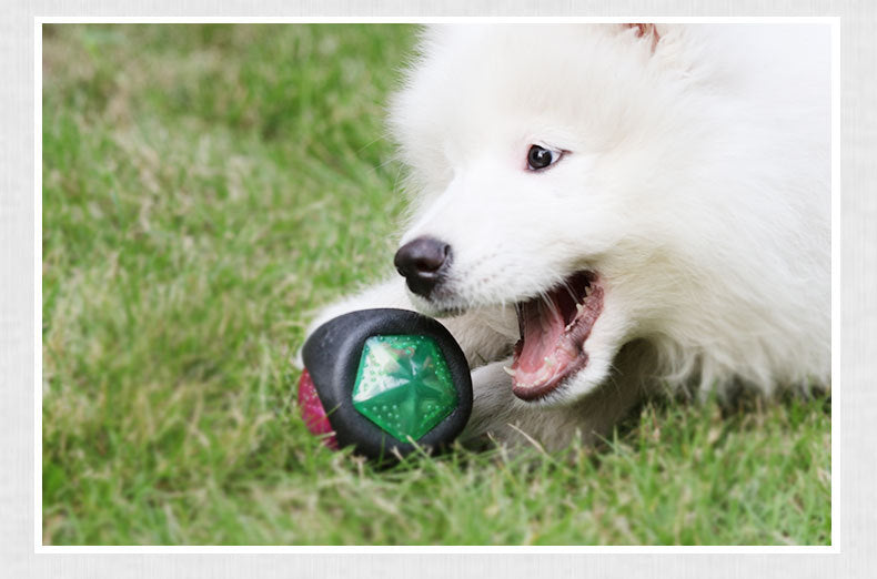 Glow Squeaky Dog Ball