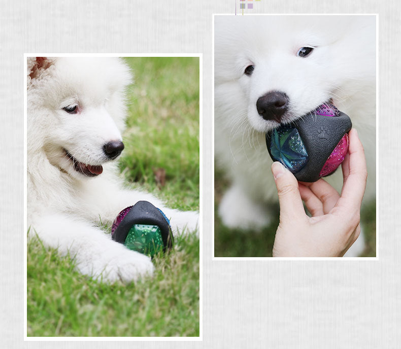 Glow Squeaky Dog Ball