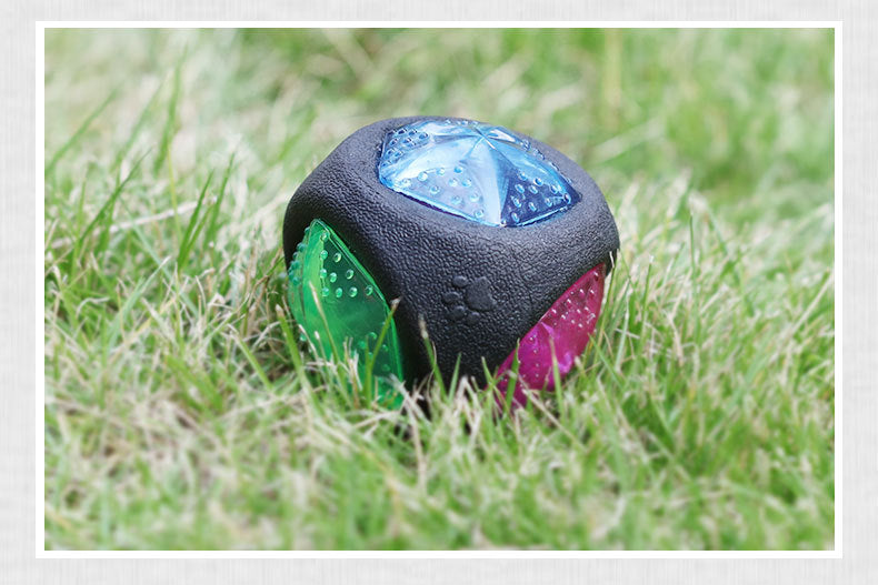 Glow Squeaky Dog Ball