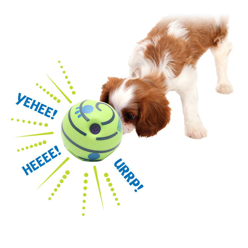 Dog Molar Training Ball