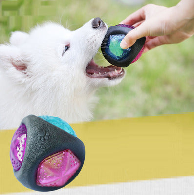 Glow Squeaky Dog Ball