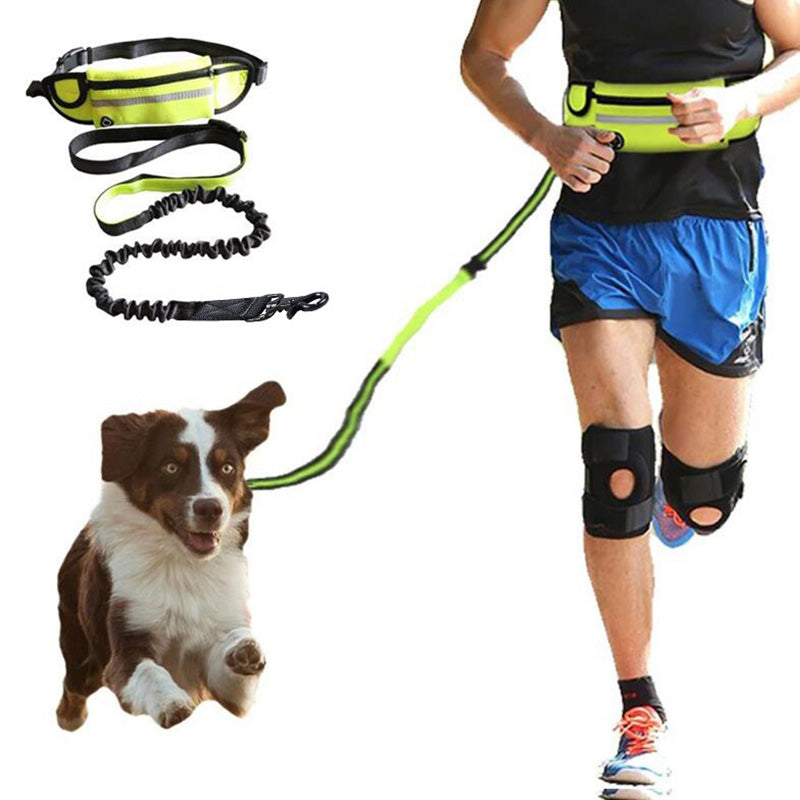 No-Pull Reflective Dog Harness