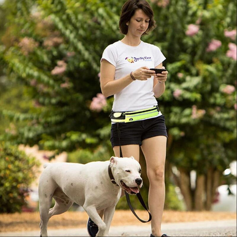 No-Pull Reflective Dog Harness
