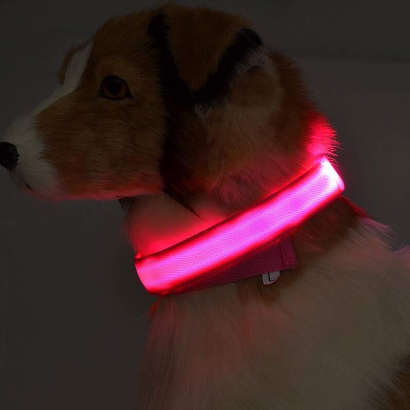 LED Glow Dog Collar – Night Safety Adjustable Luminous Pet Collar