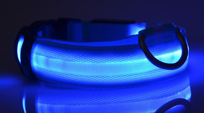 LED Glow Dog Collar – Night Safety Adjustable Luminous Pet Collar