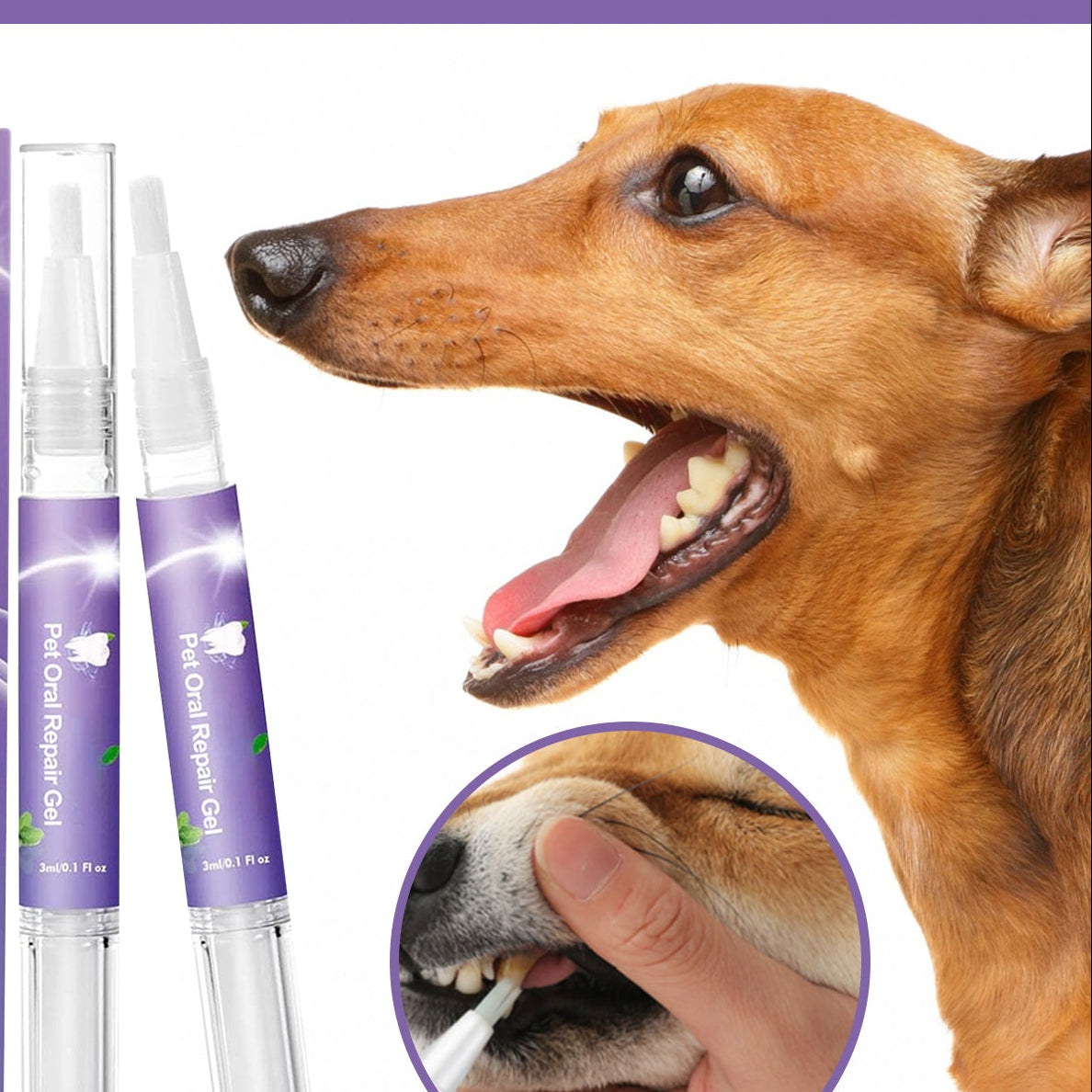 Pet Oral Care & Cleaning Gel