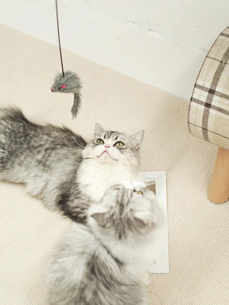 Interactive Cat Mouse Toy – Hanging Retractable Teaser Stick with Scratch Rope